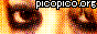 picopico.org
