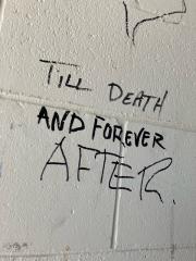 I didn't find any pandas... 